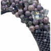 Saskia Crown - Image 2