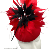 Stunning red headpiece with red and black feather detail.