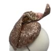 Rose gold sequinned headpiece with swirl detail to the top and rose gold leather Dior flowers to the back of the swirl.